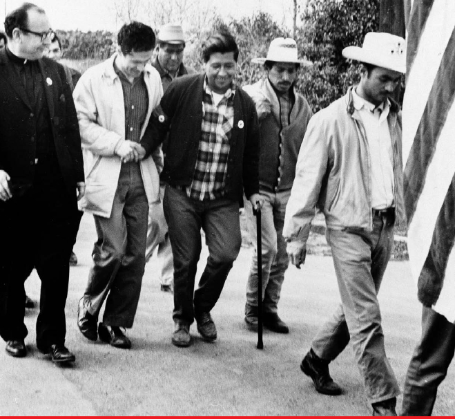 Csar Chvez walks in the 1966 march that he organized in order to get the word - photo 4