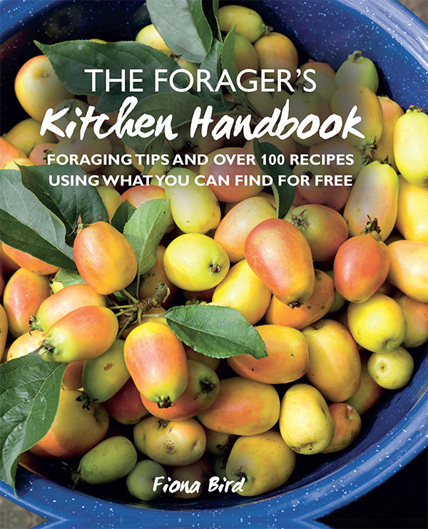 THE FORAGERS Kitchen Handbook THE FORAGERS Kitchen Handbook FORAGING TIPS - photo 1