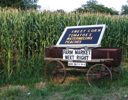 Beyond their dress the Amish are known for their policy of nonviolence and - photo 8