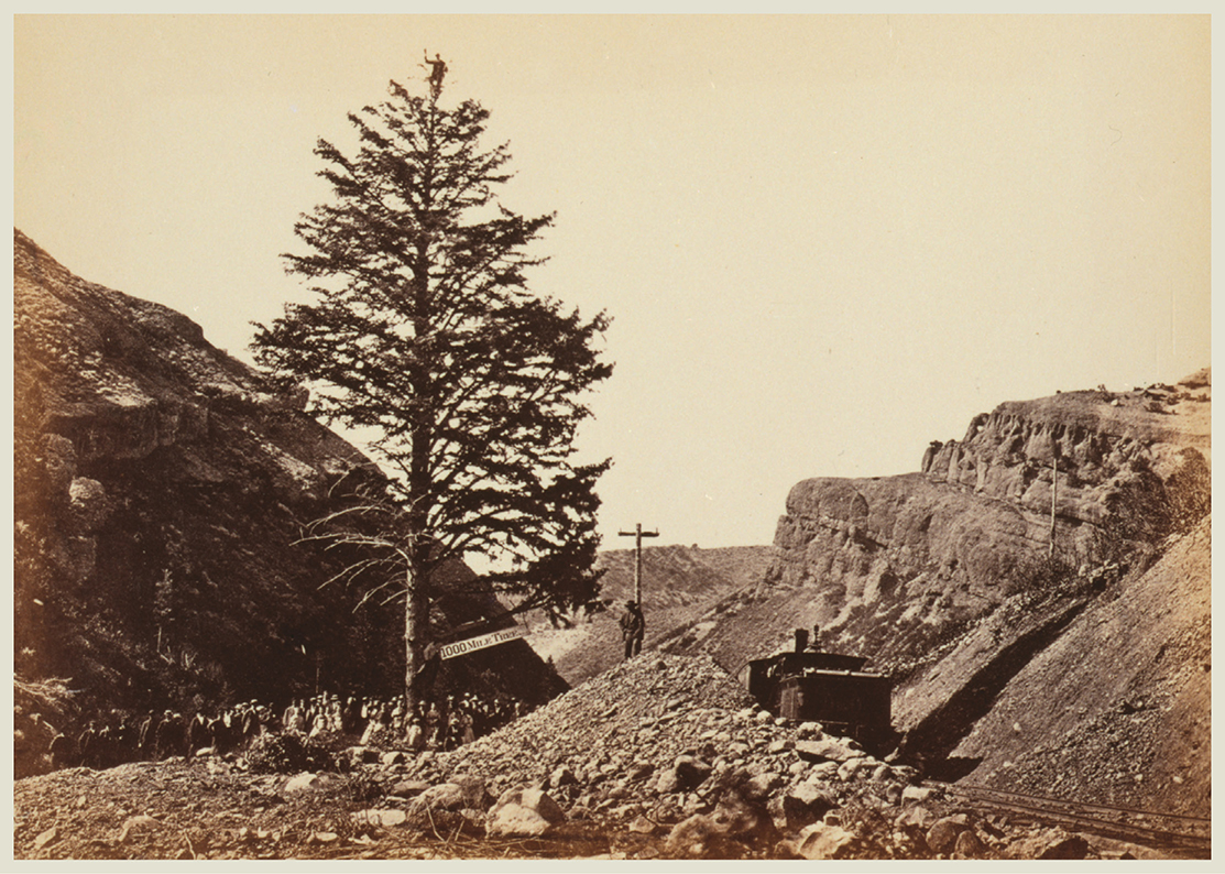 A railroad worker perches atop the 1000 Mile Tree in Andrew Russells 1869 - photo 3