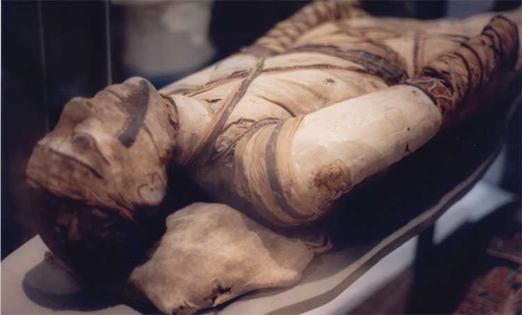 Mummy in the British Museum Photo by Klafubra Growing up I would not - photo 2