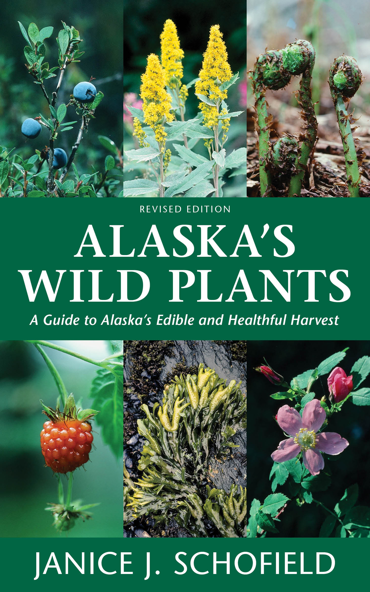 REVISED EDITION ALASKAS WILD PLANTS A Guide to Alaskas Edible and Healthful - photo 1