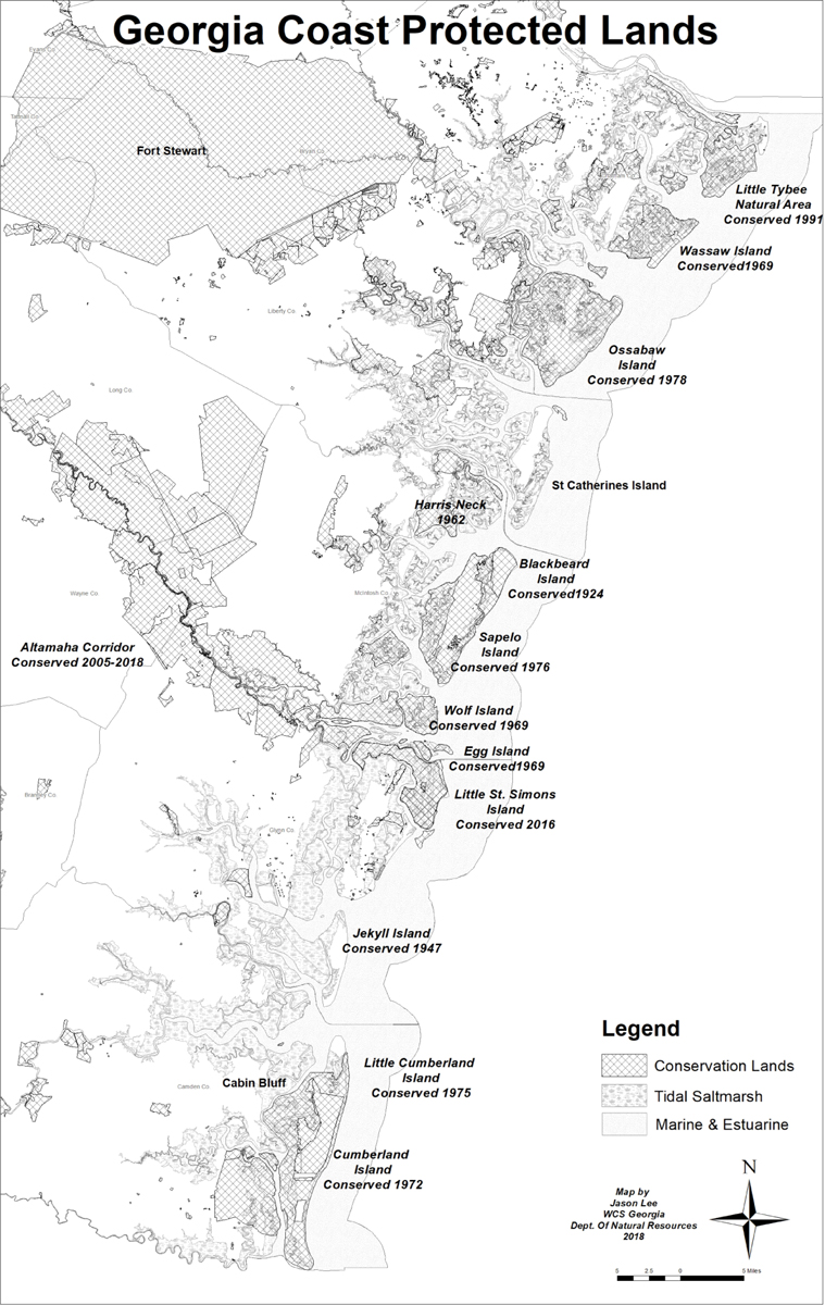 Georgia coast protected lands 2019 Courtesy of Jason Lee earth ecologist - photo 3