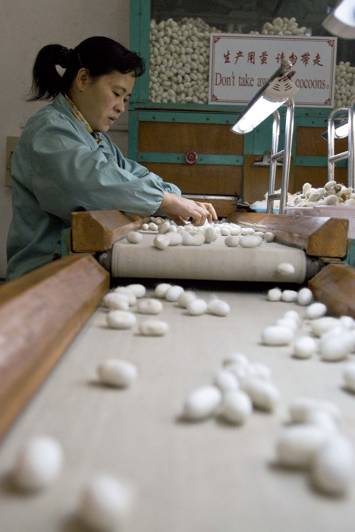 The art of making silk is still carried on in this modern-day factory in China - photo 7