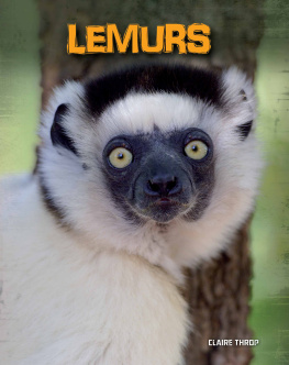 Claire Throp - Lemurs