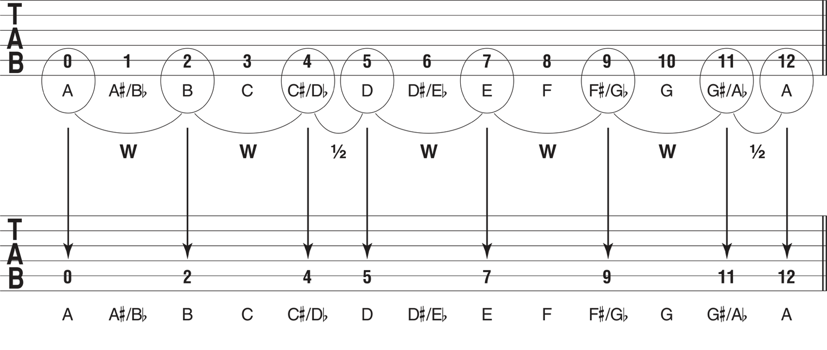 If you did this starting from every open string youll notice that all the - photo 11