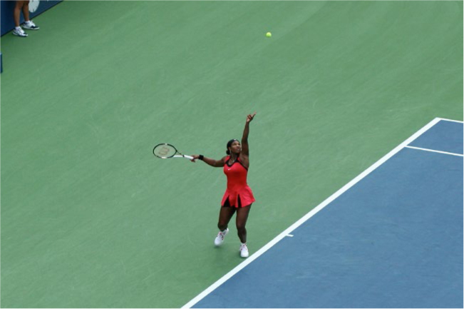 The indomitable Serena Williams was on the verge of completing a Grand Slam - photo 1