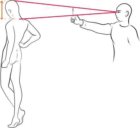 How to draw a character Method of drawing with the anatomy of the human body - photo 32