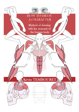 Kevin TEMBOURET - How to draw a character: Method of drawing with the anatomy of the human body