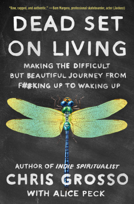 Chris Grosso - Indie Spiritualist: A No Bullshit Exploration of Spirituality