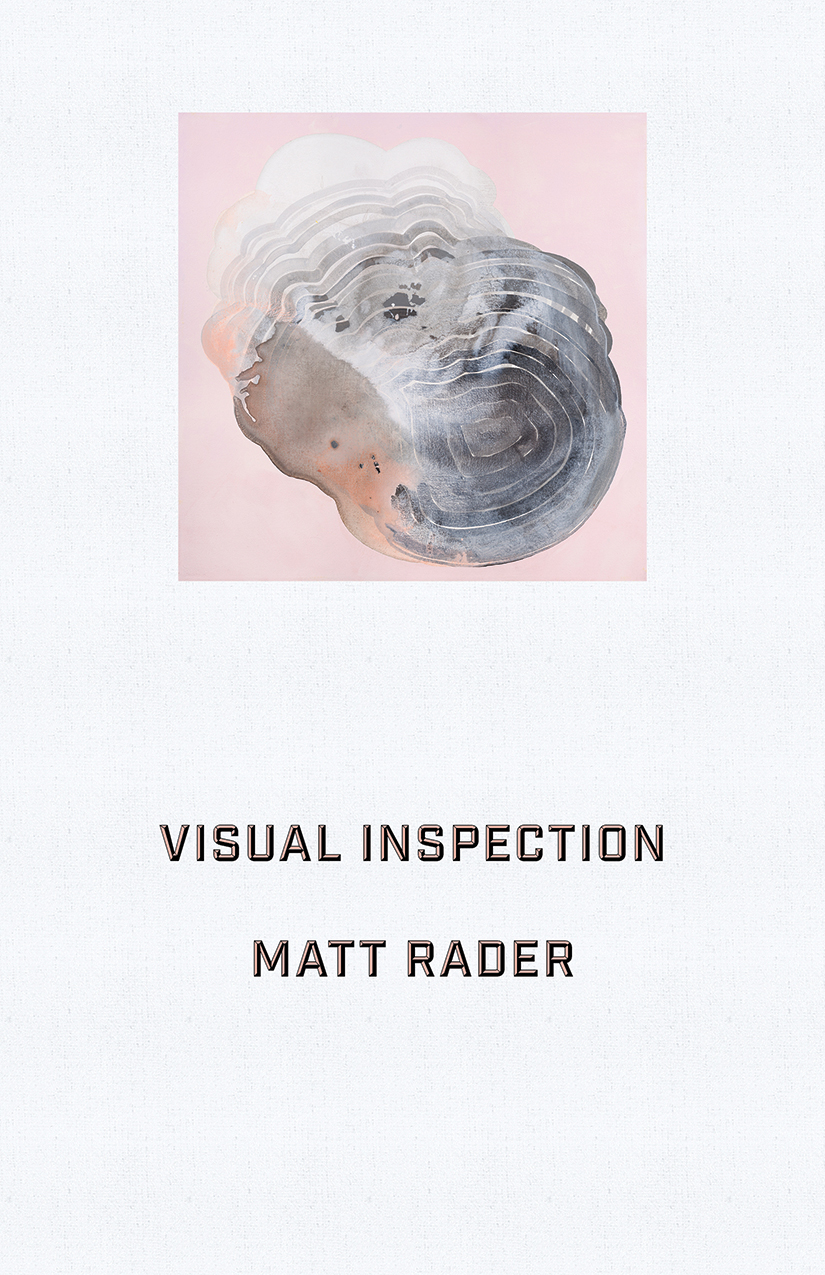 Visual Inspection - image 1