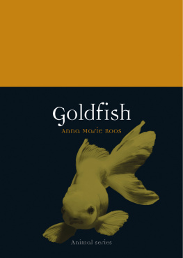 Anna Marie Roos Goldfish