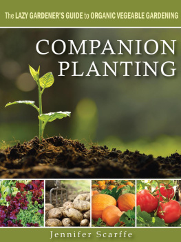 Jennifer Scarffe - Companion Planting--The Lazy Gardeners Guide to Organic Vegetable Gardening