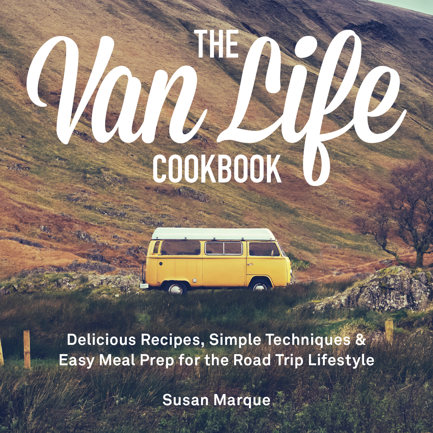 The Van Life Cookbook Delicious Recipes Simple Techniques and Easy Meal Prep - photo 1