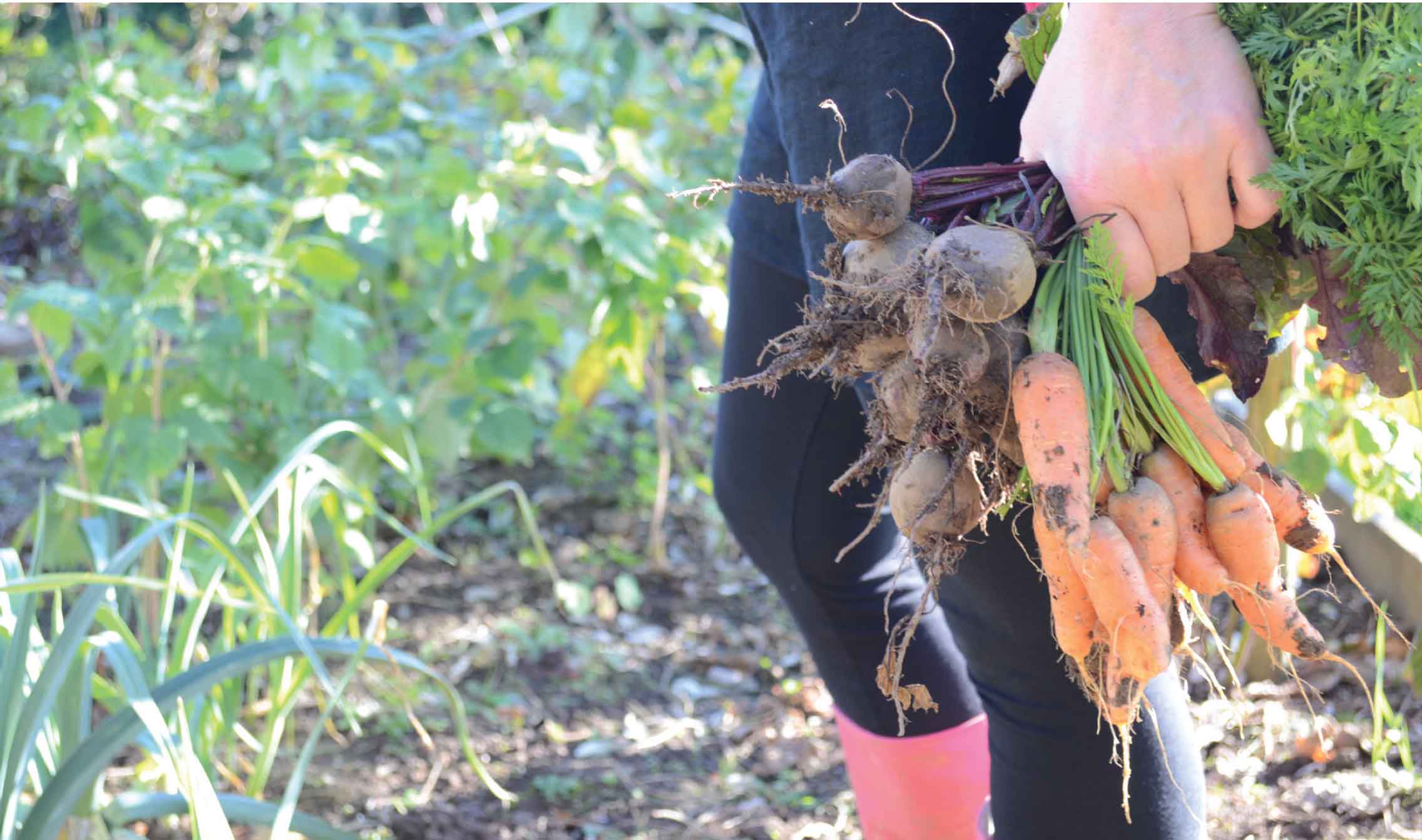 In essence growing your own food will help you to eat better and feel better - photo 3