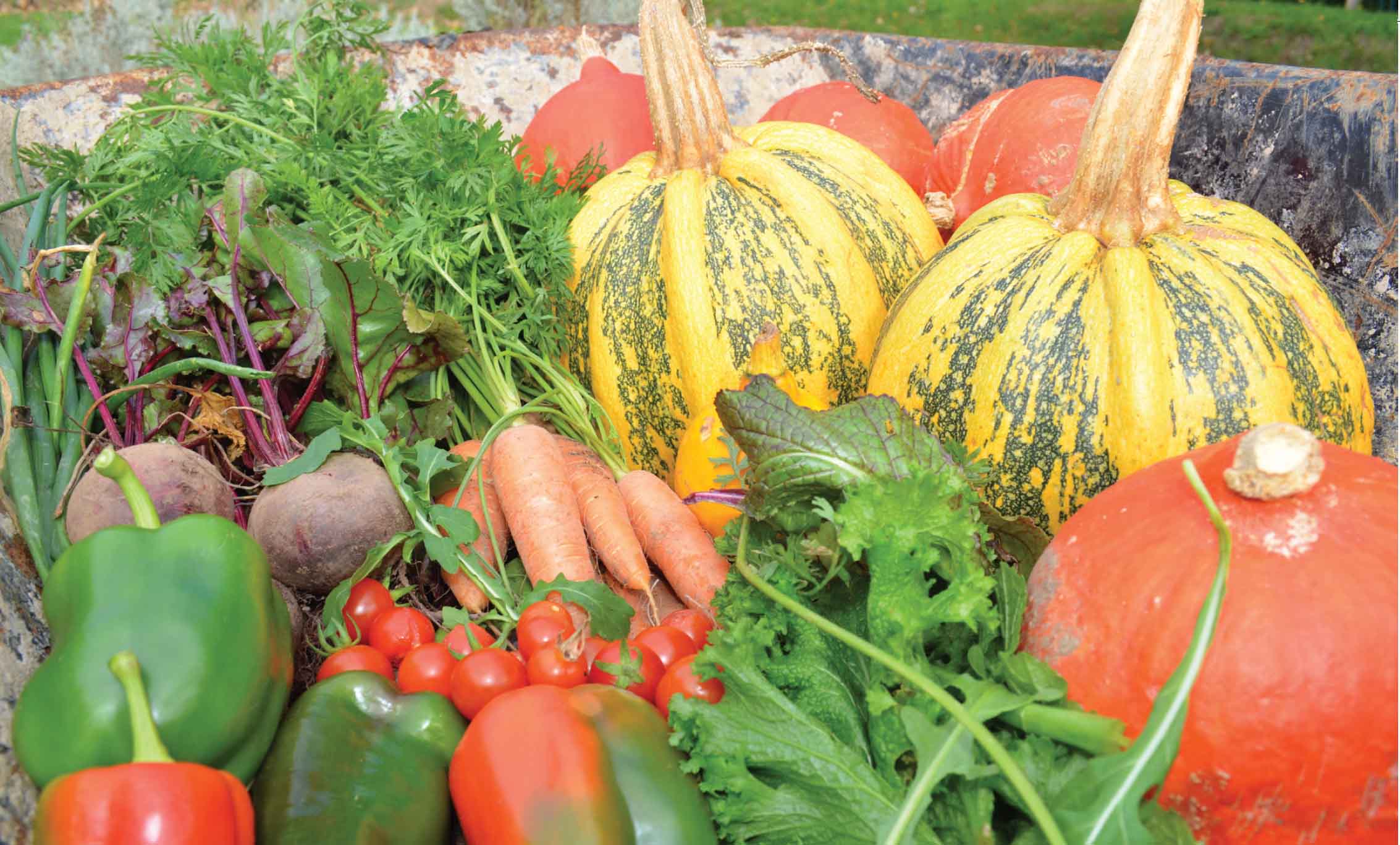 Only a couple of generations ago gardening to eat would have been second - photo 4