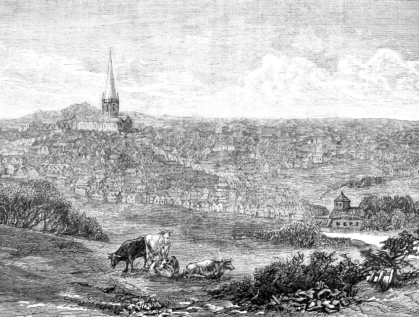 A view of Birmingham in the late eighteenth century R K Dent The riches - photo 3