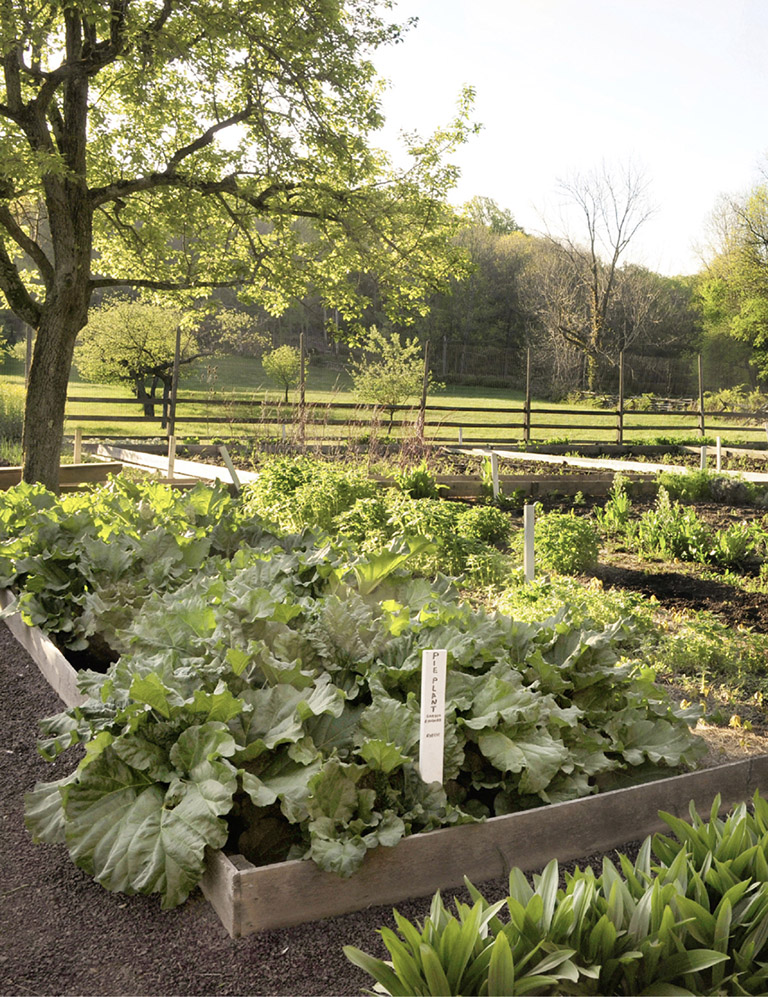 The vegetable garden at Jockey Hollow in Morristown shows the potential of New - photo 4