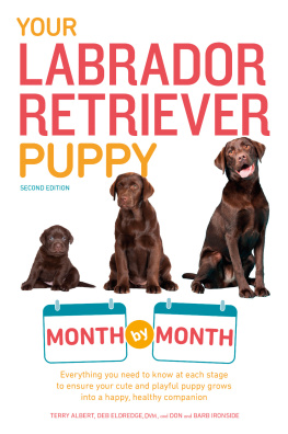 Terry Albert - Your Labrador Retriever Puppy Month by Month: Everything You Need to Know at Each Stage of Development