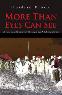 Rhidian Brook - More Than Eyes Can See: A nine month journey through the AIDS pandemic