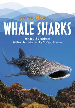 Anita Sanchez - Save The...Whale Sharks