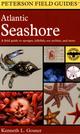 Kenneth L. Gosner Atlantic Seashore: A Field Guide to Sponges, Jellyfish, Sea Urchins, and More