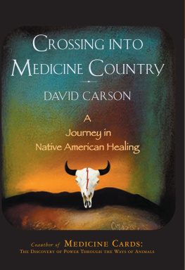 David Carson Crossing Into Medicine Country: A Journey In Native American Healing