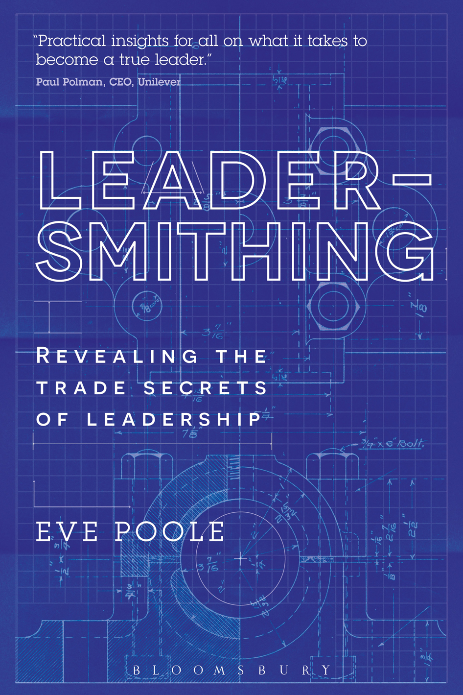 At a time when leadership is scarce Eve Poole offers some practical insights - photo 1