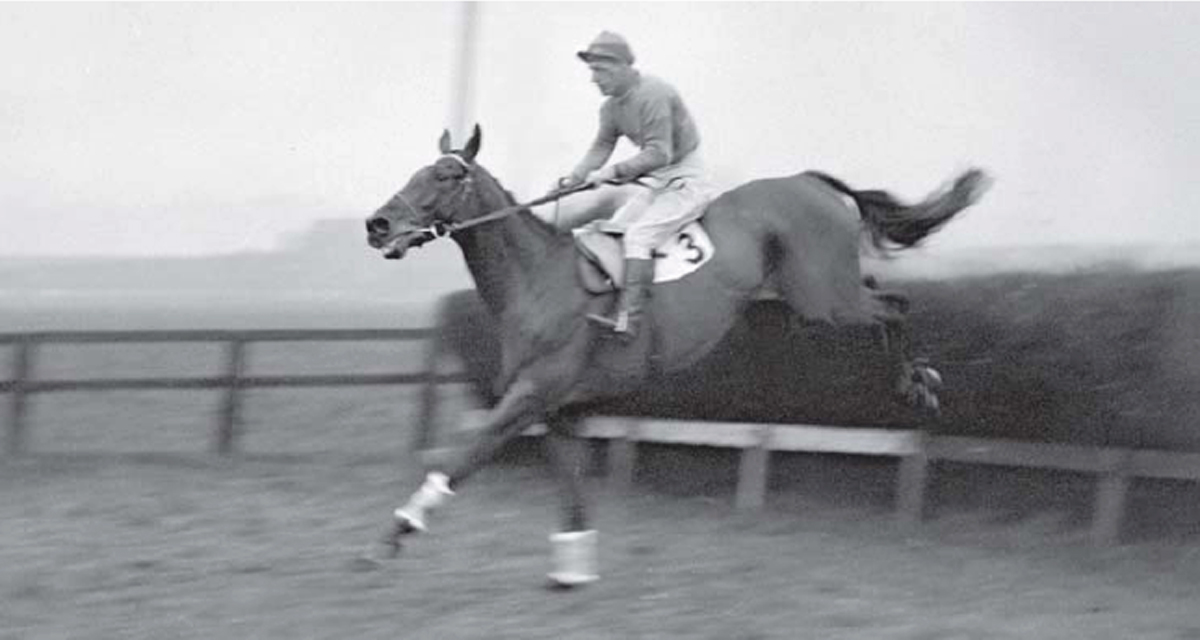 Golden Miller clearing one of the fences at the now defunct Derby 21 January - photo 9