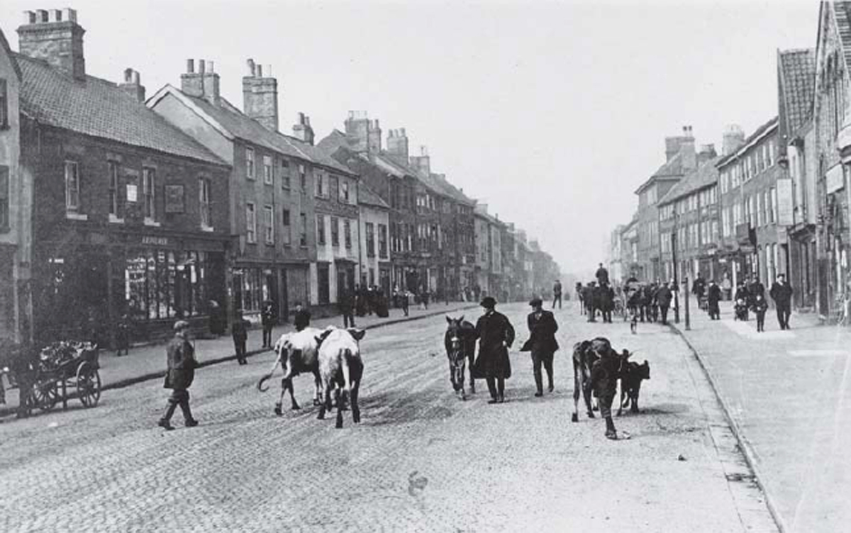 Ber Street 1908 The main thoroughfare for driving cattle to the huge market - photo 6