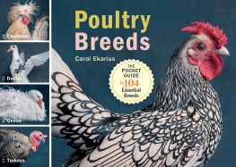 Carol Ekarius - Poultry Breeds: Chickens, Ducks, Geese, Turkeys: The Pocket Guide to 104 Essential Breeds