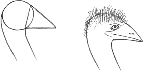 TRIANGLES are often best for drawing beaks ears and hooves COLORING TIPS - photo 5