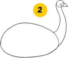 How to Draw Zoo Animals Step-by-step instructions for 26 captivating creatures - photo 15