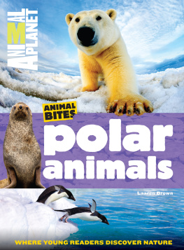 ANIMAL PLANET - Polar Animals