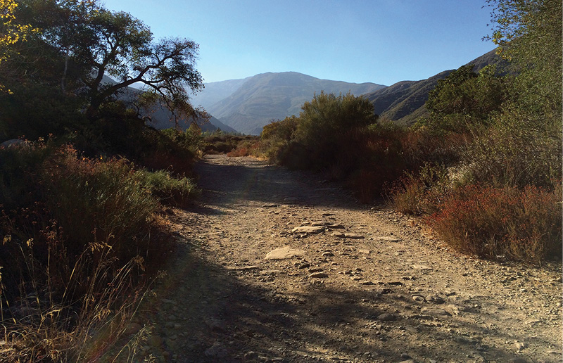 The road to Blue Heron Ranch O n December 8 1980 my husband Enrico our - photo 2