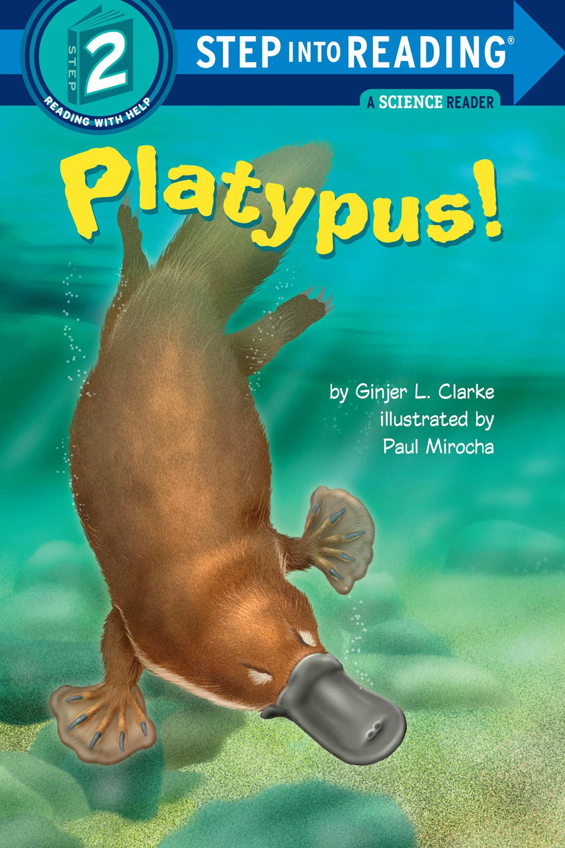 Platypus - photo 1