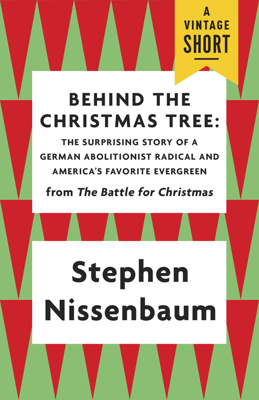 Stephen Nissenbaum Stephen Nissenbaum is professor of history emeritus at the - photo 1