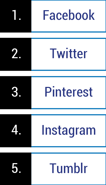 Other emerging networks are snapping at their heels and may yet come to - photo 5