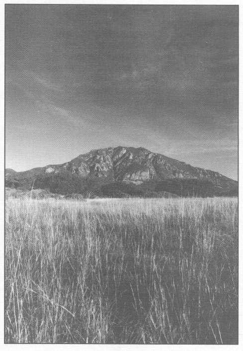 introduction C HEYENNE MOUNTAIN SITS on the eastern slope of Colorados Front - photo 2