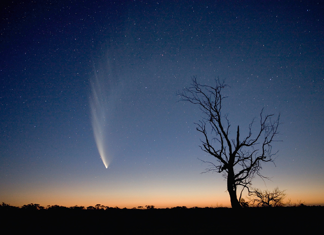 Comet McNaught over the Australian outback The wispy tails of comets are often - photo 19