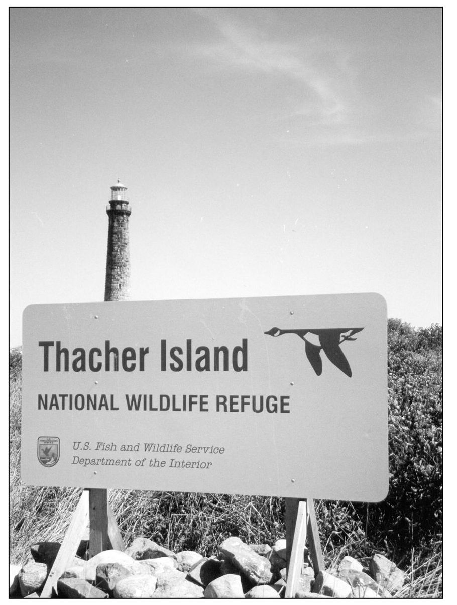 The northern end of the island 22 acres was given to the US Fish and - photo 6