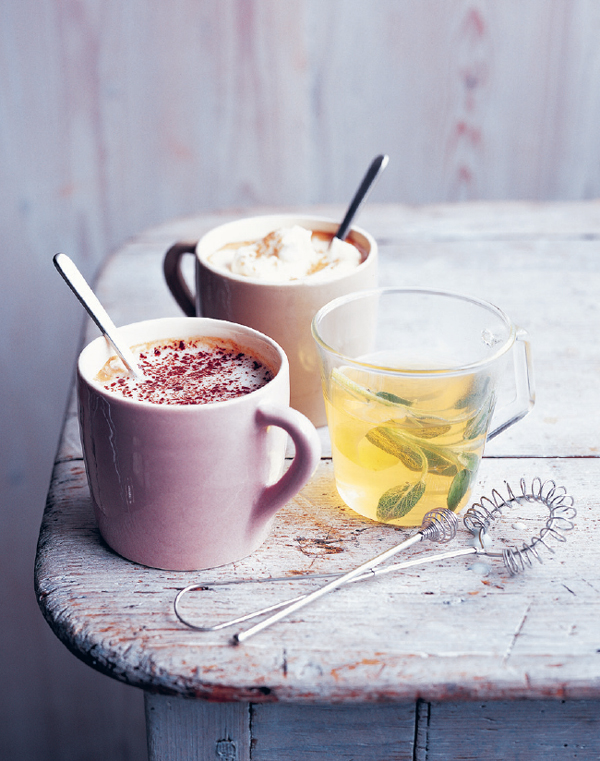 WINTER DRINKS Over 75 recipes to warm the spirits including hot drinks - photo 2