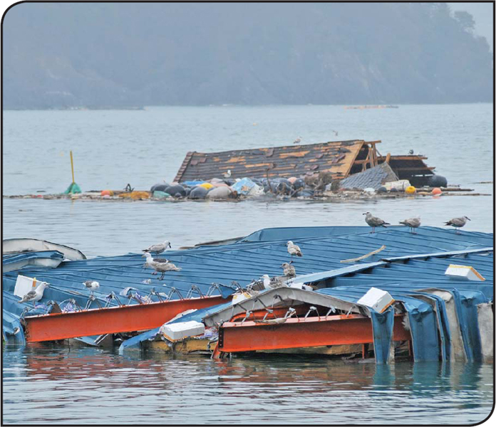 The nuclear meltdown was not the only disaster Japan faced after the massive - photo 8