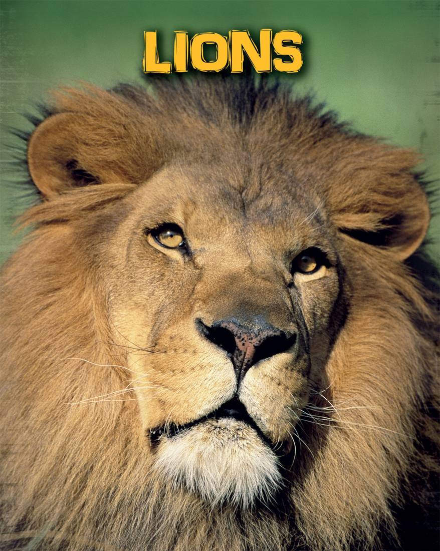 Find Out More Books Joubert Beverly and Dereck Face to Face with Lions Des - photo 1