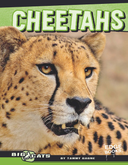 Charlotte Guillain Cheetahs