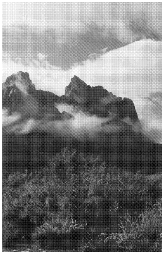 The University of Arizona Press 1999 The Arizona Board of Regents All rights - photo 2