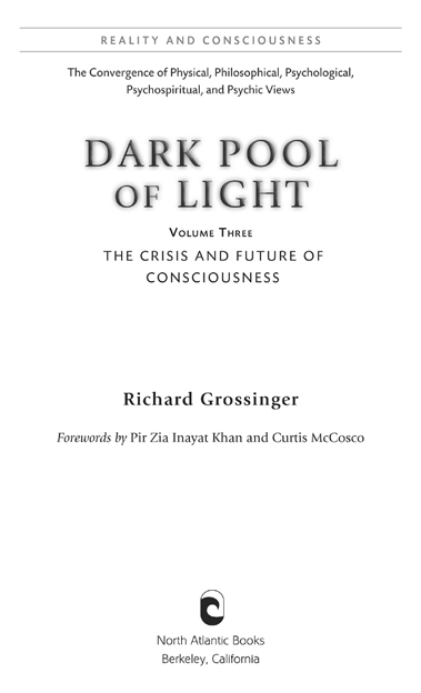 Copyright 2012 by Richard Grossinger Foreword 2012 by Pir Zia Inayat Khan - photo 2