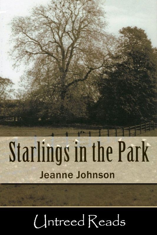 Table of Contents Starlings in the Park By Jeanne Johnson Copyright 2012 by - photo 1