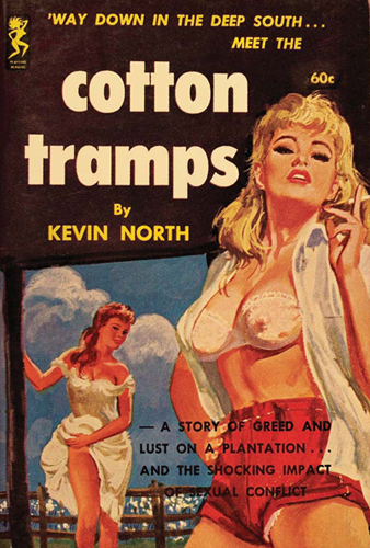 Cotton Tramps by Kevin North Playtime Book 620 1962 Cover art by Robert - photo 4