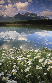 Jasper National Park Alberta Cove Island Fathom Five National Marine - photo 2